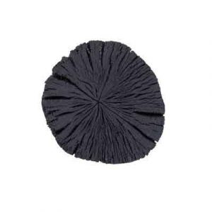Product-11
